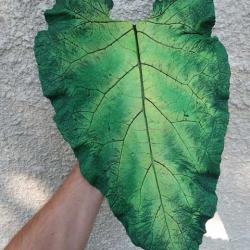Huge green leaf, cast from concrete