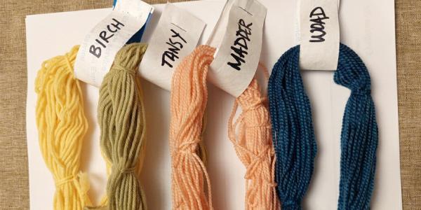 4 skeins of yarn dyed in gold, green, peach and dark blue